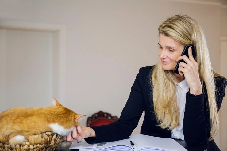 Post-Arrival Compliance and Veterinary Follow-Up