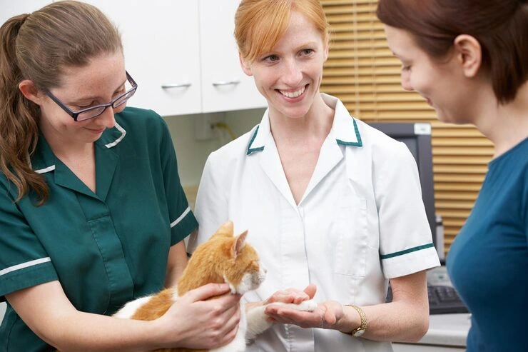 Post-Arrival Compliance and Veterinary Integration