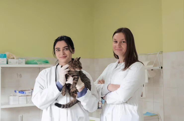 Post-Arrival Veterinary Integration and Compliance Continuity