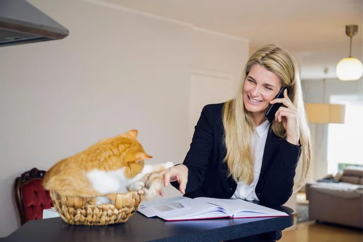 Pre-Relocation Veterinary Compliance Planning