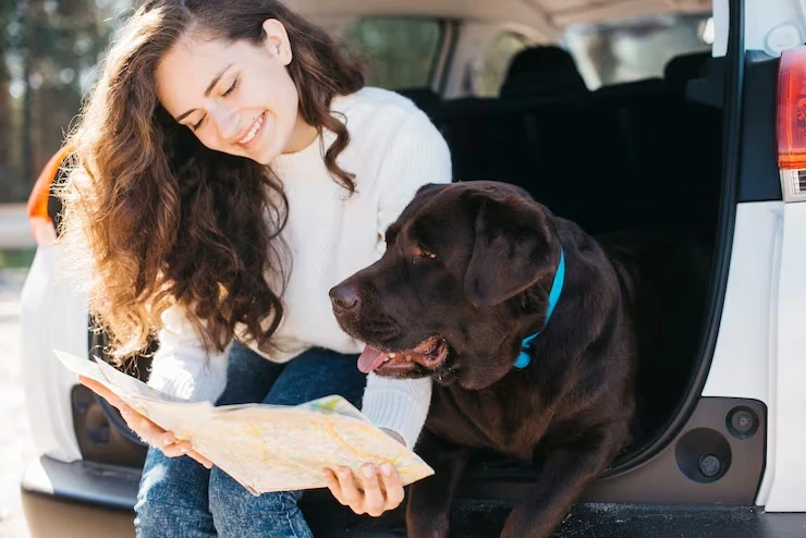 Private Jet Pet Transport Services From the USA to Estonia