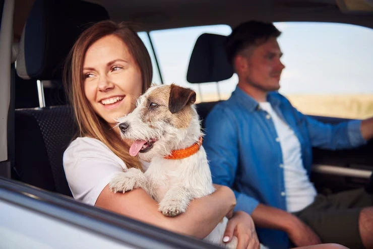 Private Jet Pet Transport Services From the USA to Hungary