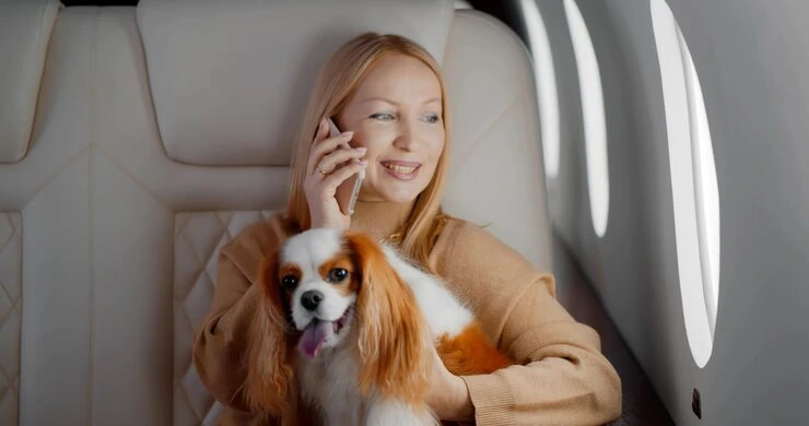 Private Jet Pet Transport Services From the USA to Liechtenstein