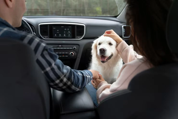 Private Jet Pet Transport Services From the USA to aAndorra
