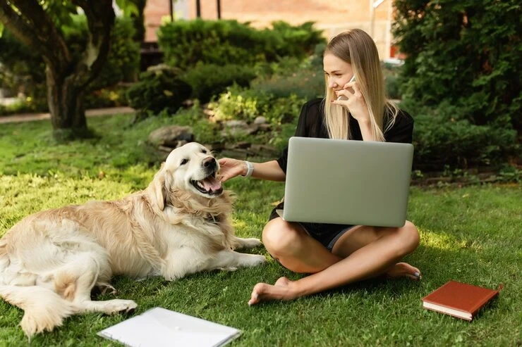 USDA Endorsement and Veterinary Coordination