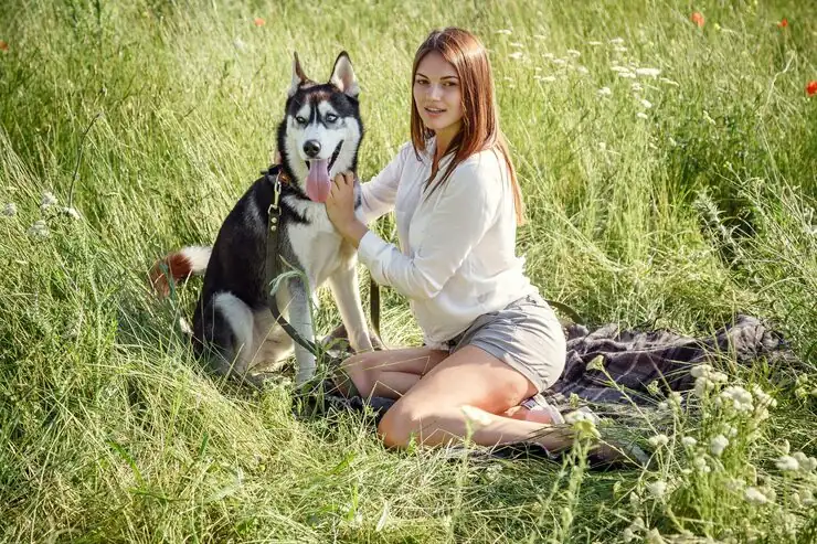 USDA Veterinary Certification and EU Compliance