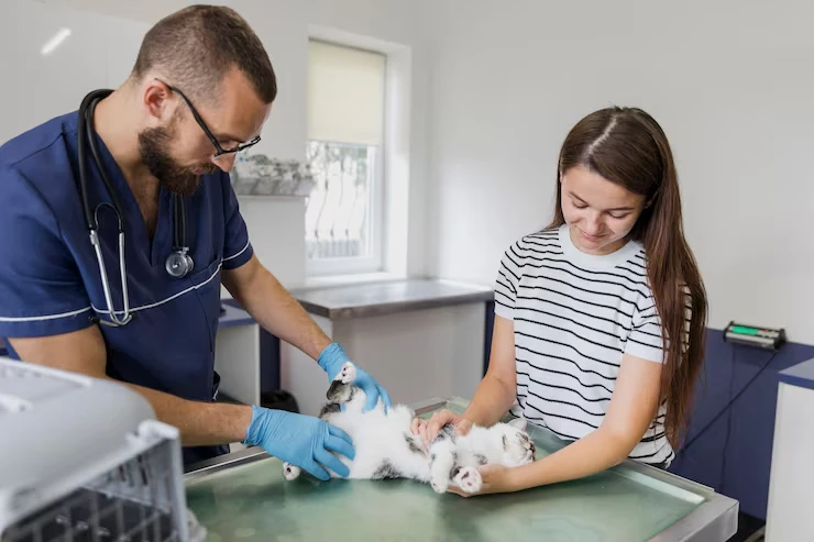 Veterinary Compliance and eCertification Management