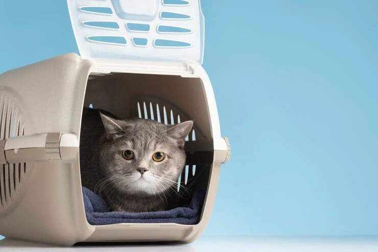 Veterinary Coordination and Health Compliance