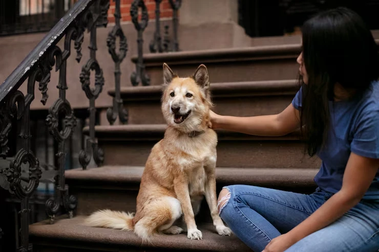 Climate Planning and Environmental Control for pets