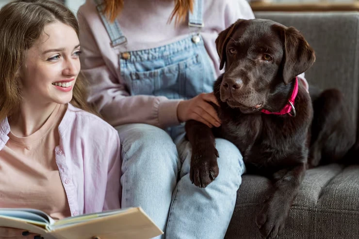 Industry Statistics That Matter for diplomatics pet