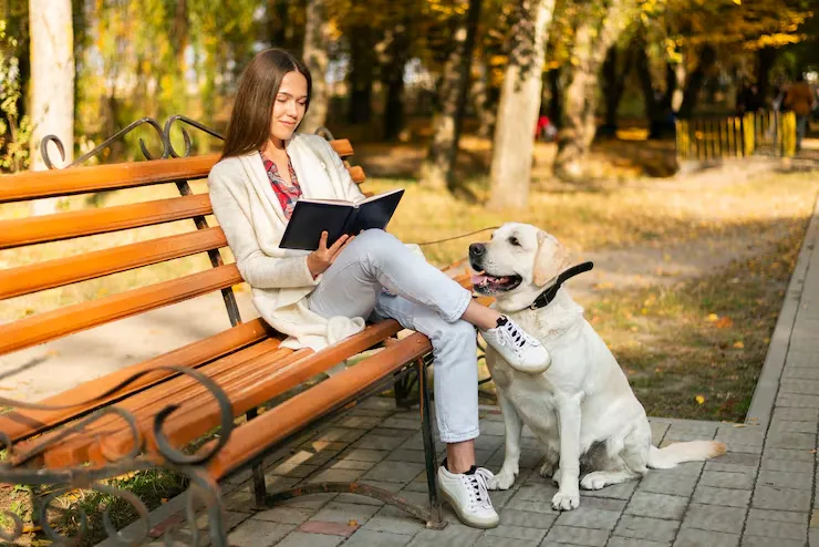 Industry Statistics That Matter for dog transport from usa to finland