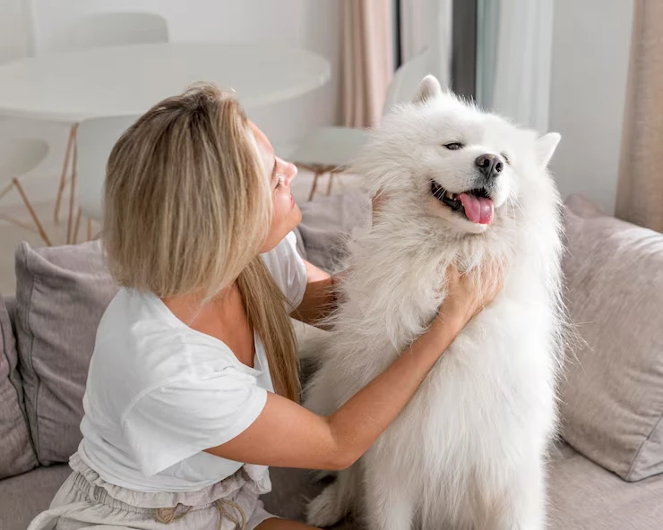 Industry Statistics That Matter for dogs transport an relocation