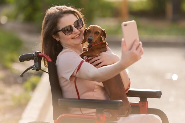 Luxury Dog Transport Services