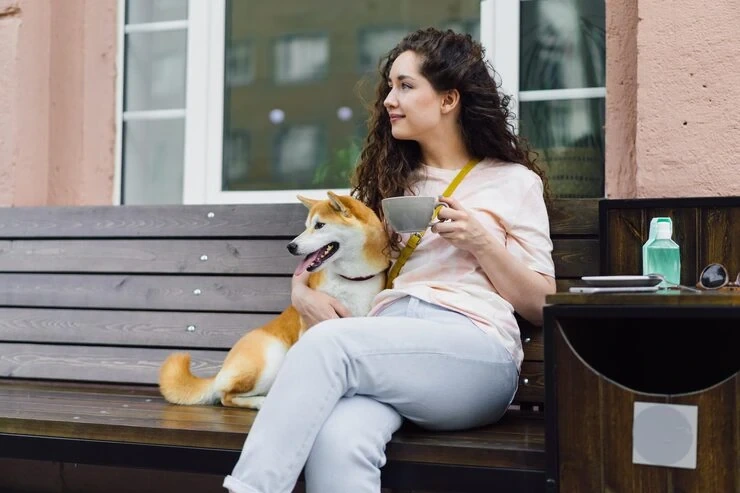 Luxury dog transport involves