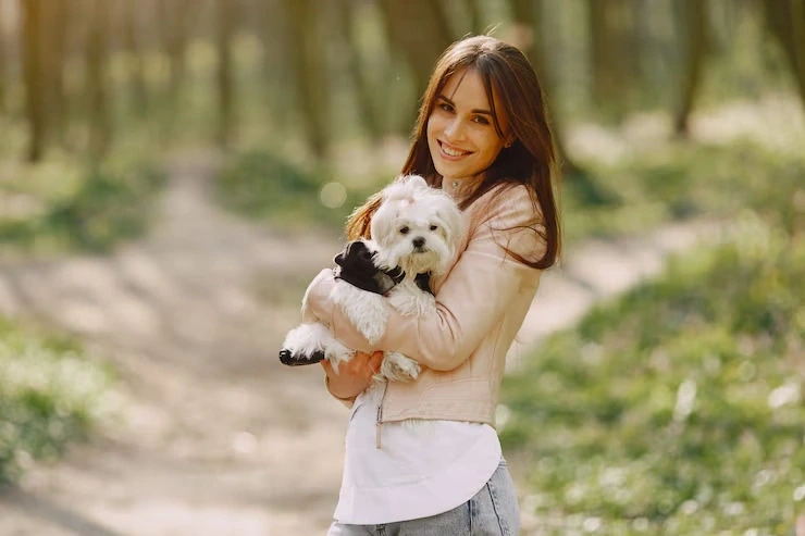 Luxury dog transport requires