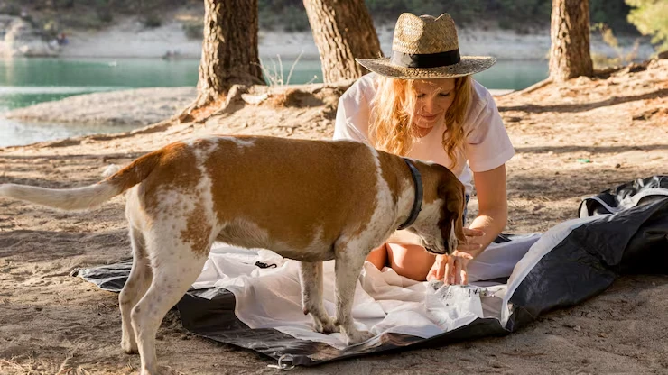 Our Services for dog relocation