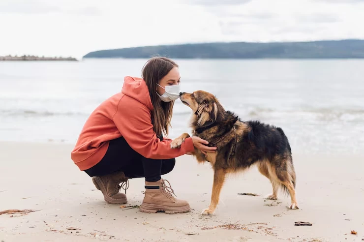 Our Services for pets services