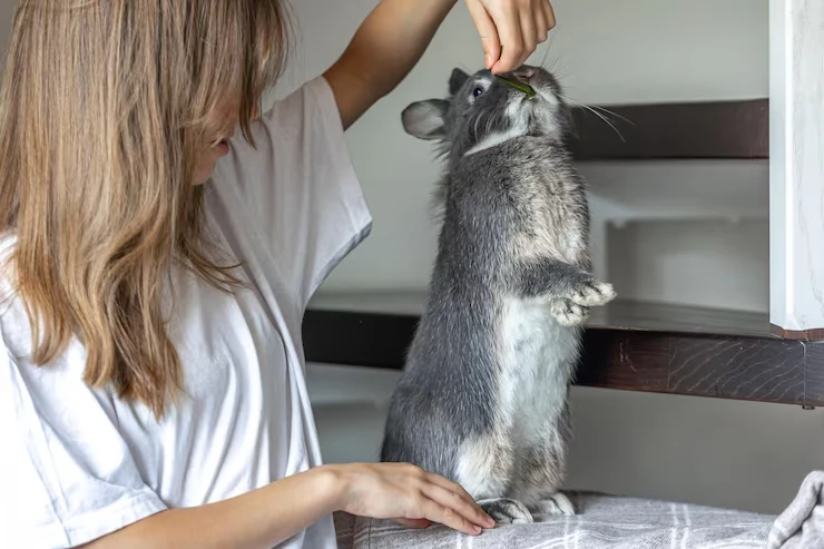 Pre Relocation Planning and Species Assessmentr