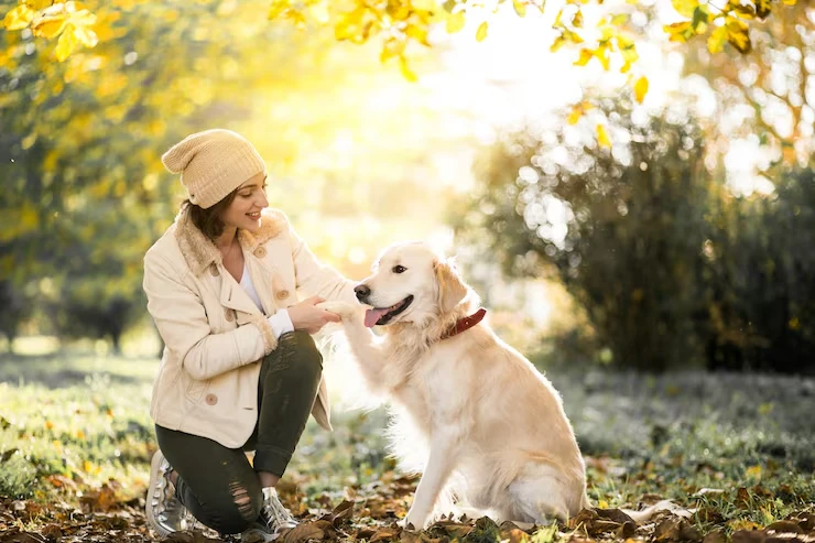 Pre Transport Planning and Breed Assessment