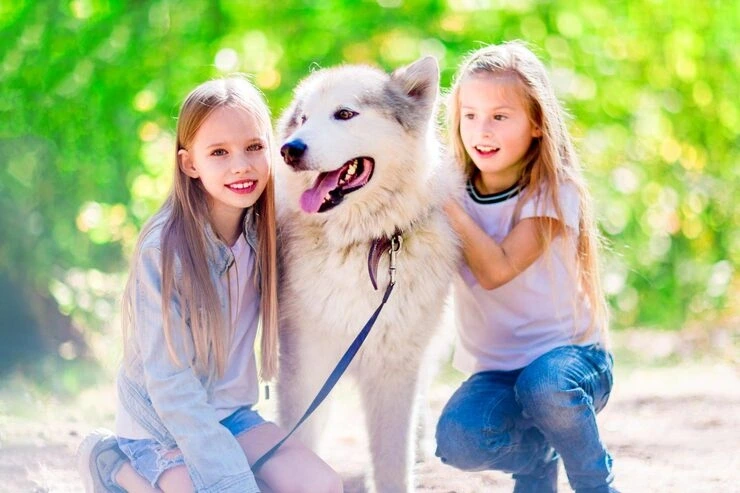 Priority Luxury Dog Transport Services