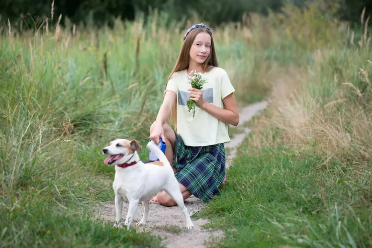 USA to Denmark Pet Transport Services