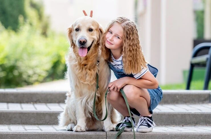 USA to Spain Pet Transport Services
