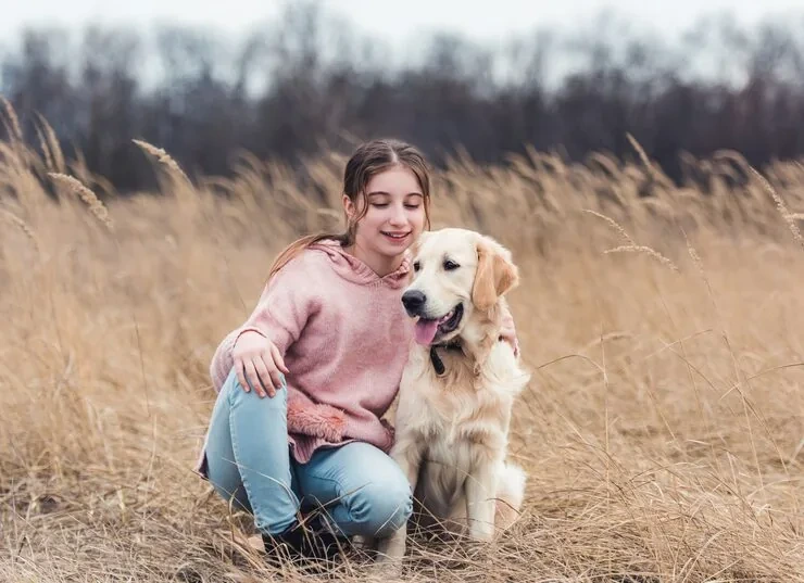 Veterinary Preparation and Compliance Management