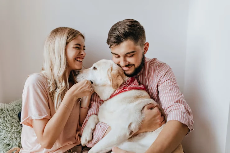 Why Choose Us for exotic pet relocation