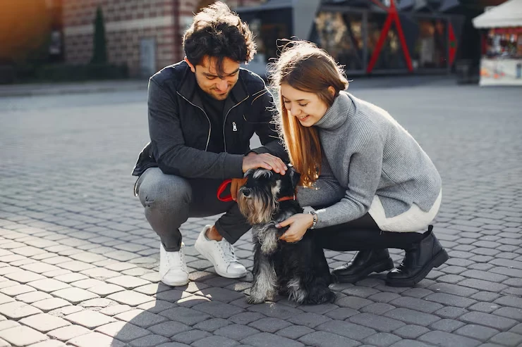 Why Choose Us for pedrgree pet transport
